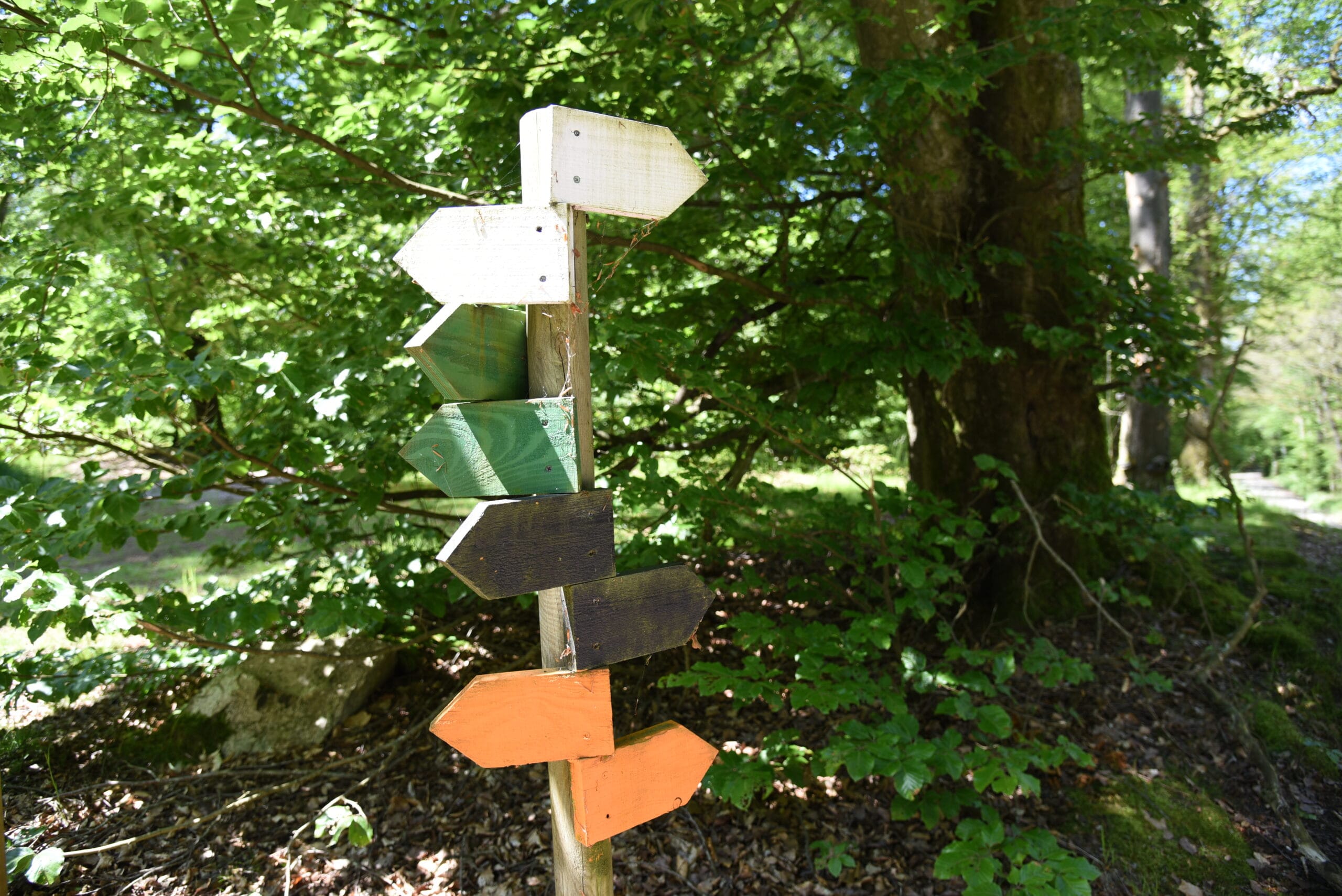 Stigskyltar i förgrunden. Frostavallens strövområde. I bakgrunden skir lövskog.